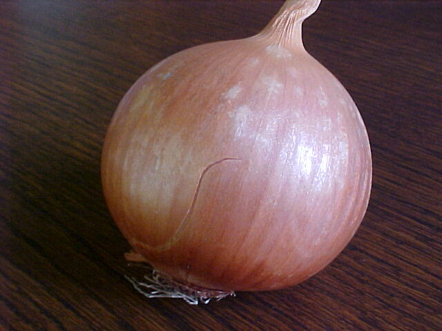 Flintstone