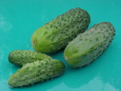 Pickling F1