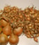 060 PICKO BELLO  ONION SETS / PLANTUIEN / STECKZWIEBEL / OIGNONS A REPIQUER