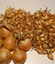 060 PICKO BELLO  ONION SETS / PLANTUIEN / STECKZWIEBEL / OIGNONS A REPIQUER